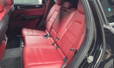Cayenne (PO536)