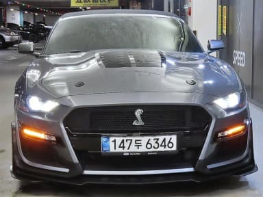 Mustang