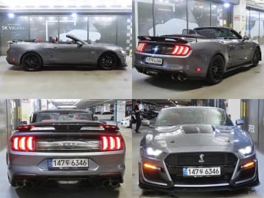 Mustang