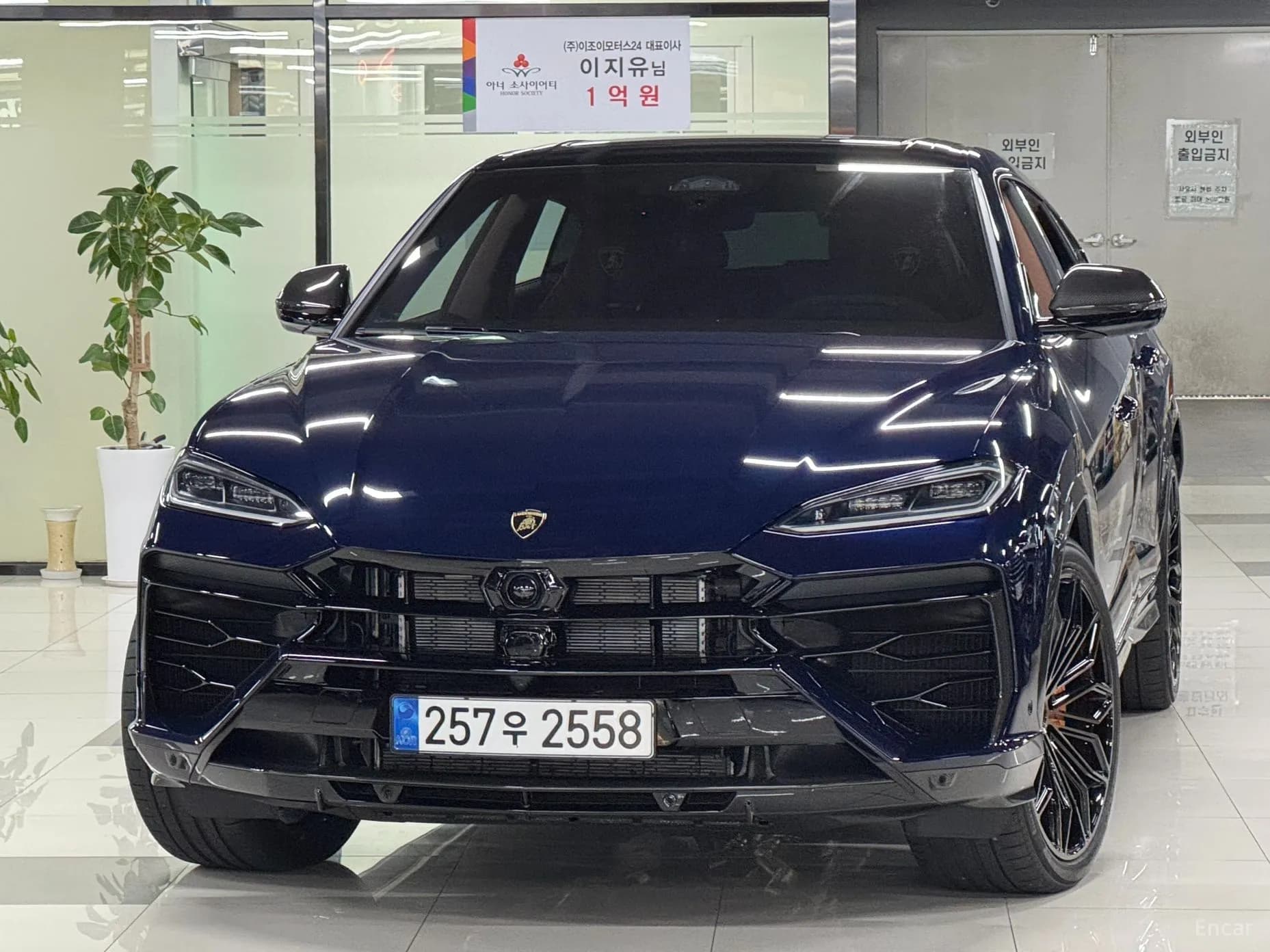 Urus