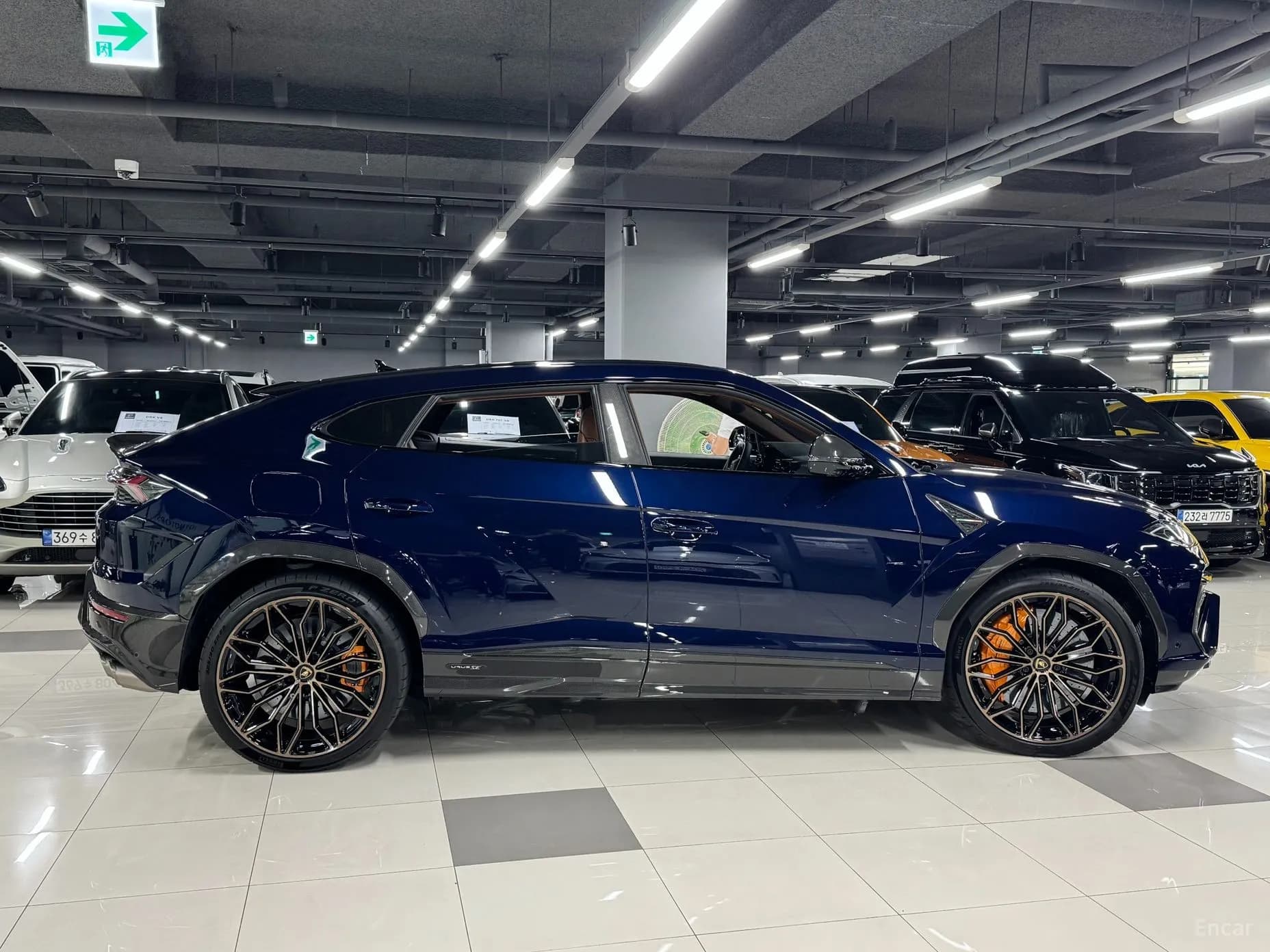 Urus