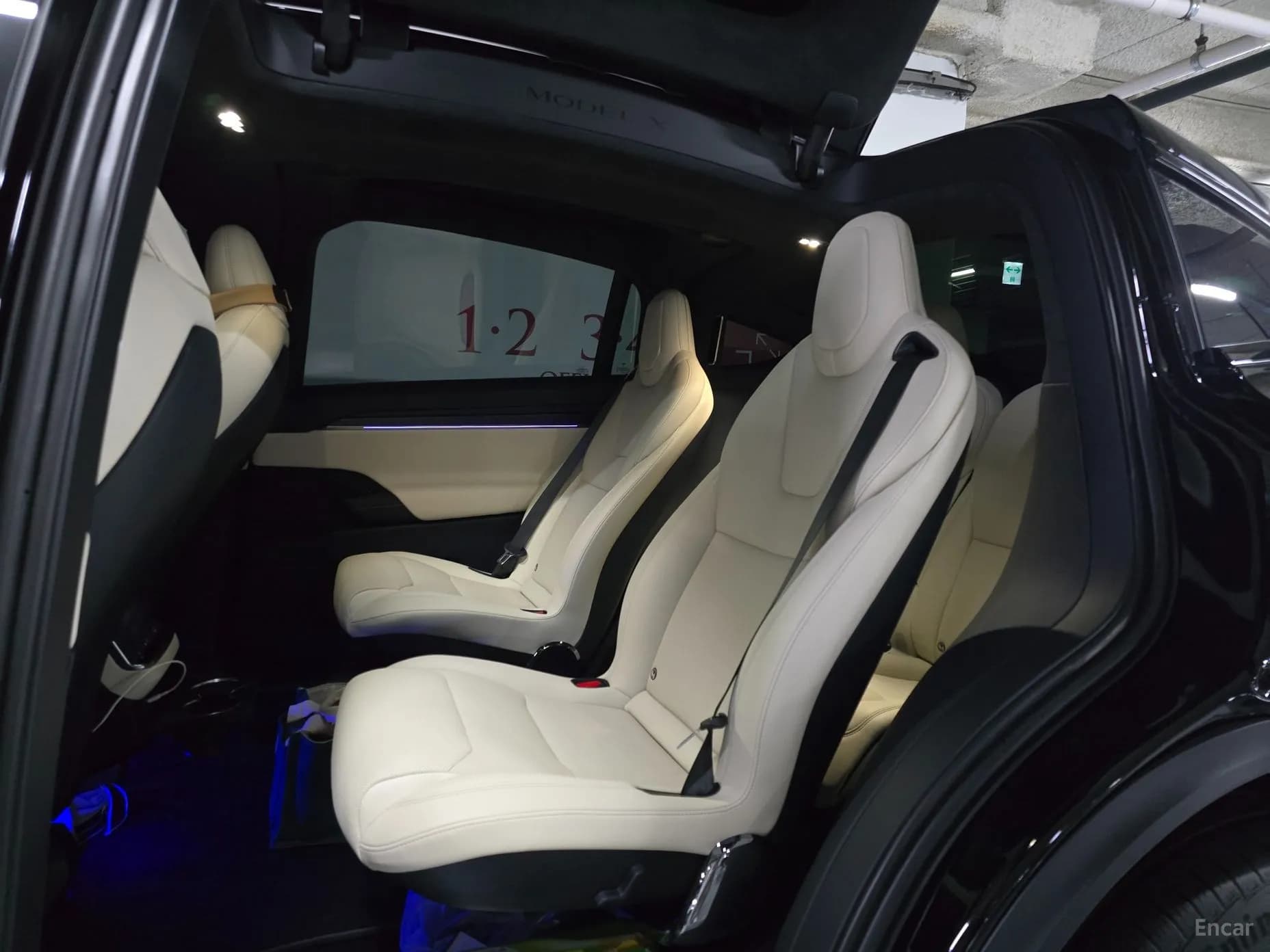 Model X