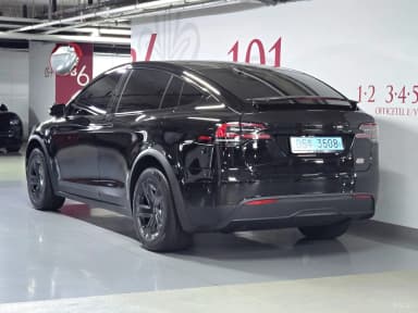 Model X