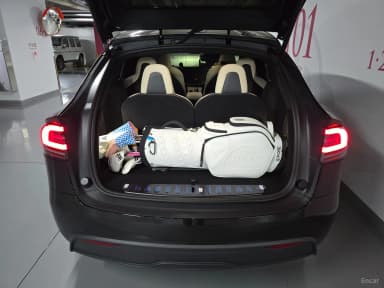 Model X
