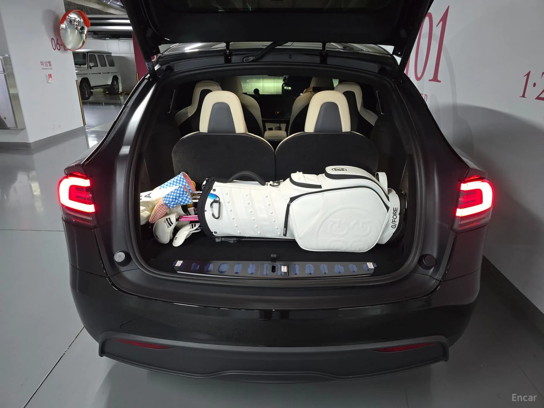 Model X