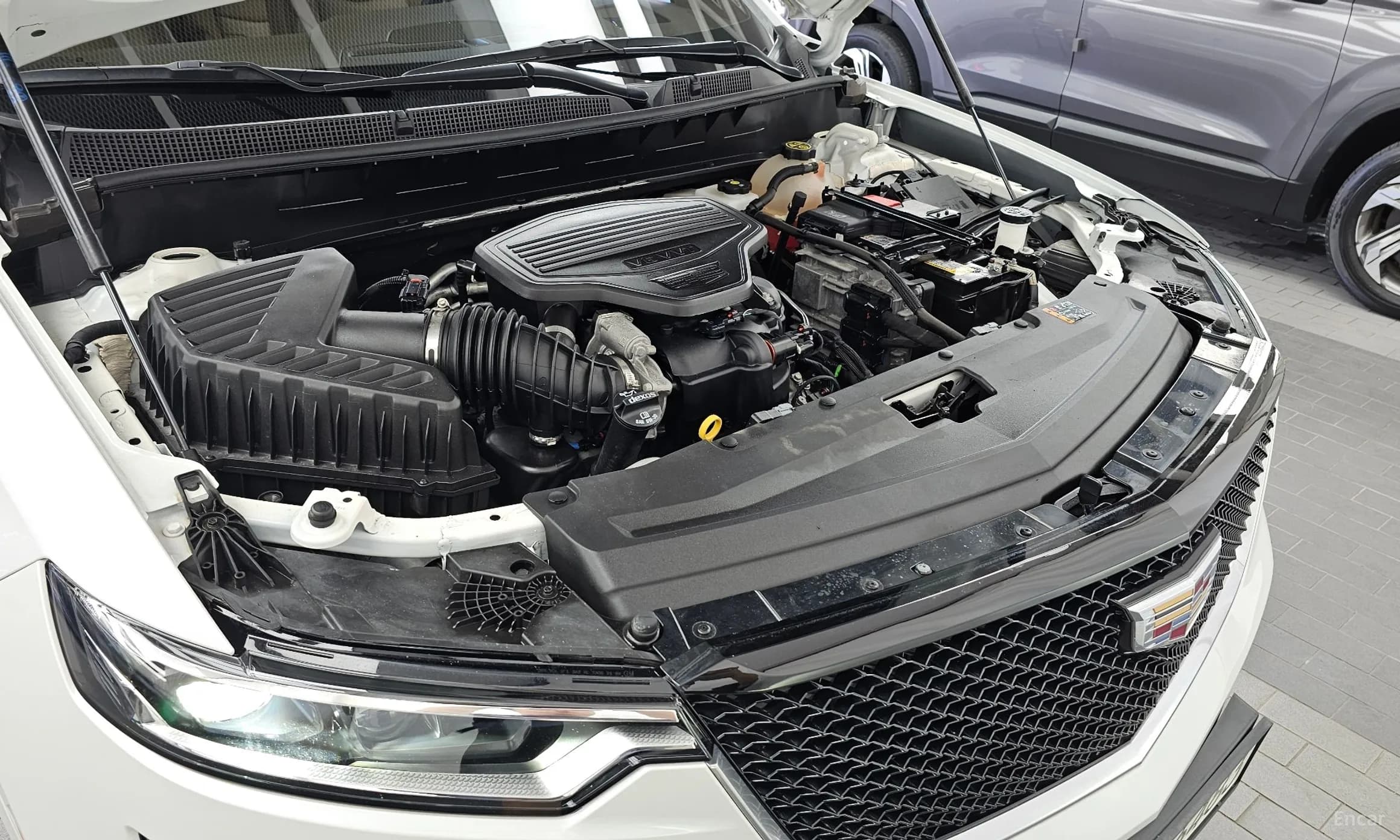 XT6