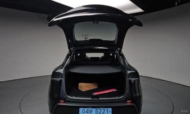 Model Y