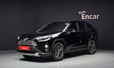 RAV4 5th Generation