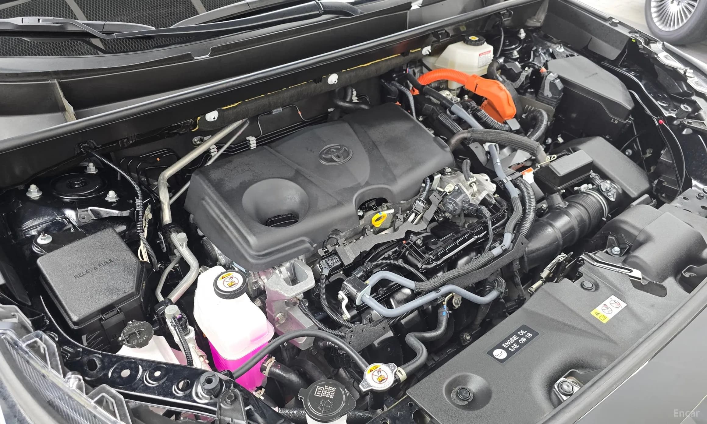 RAV4 5th Generation