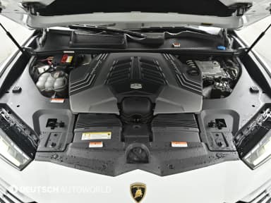 Urus