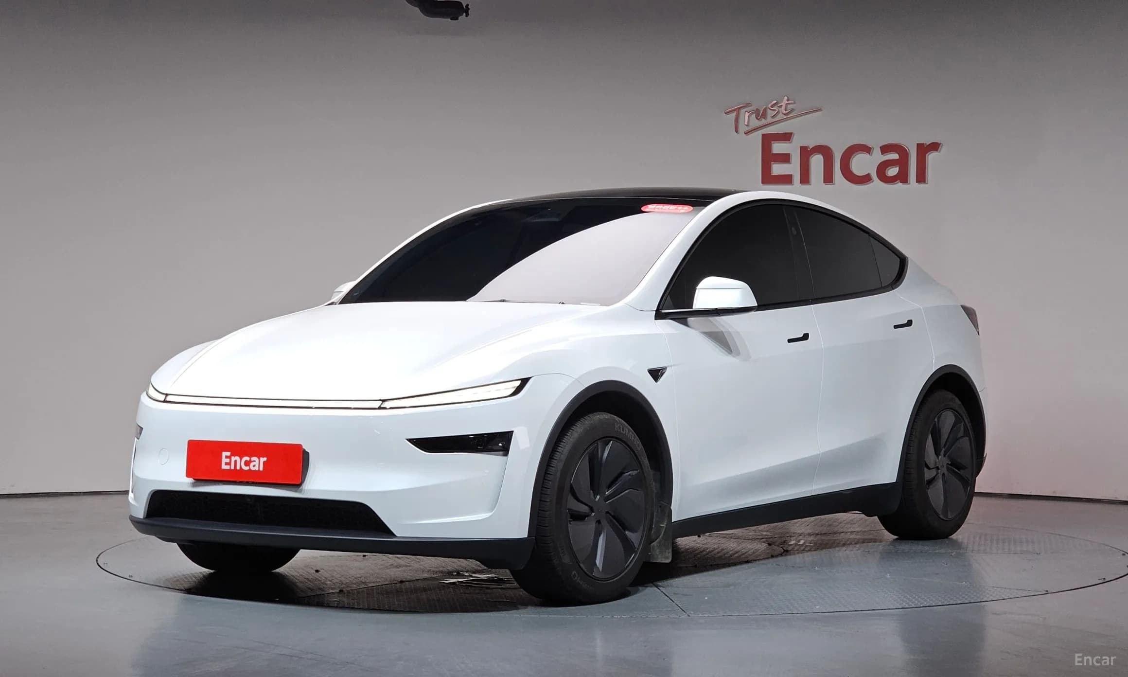 Model Y