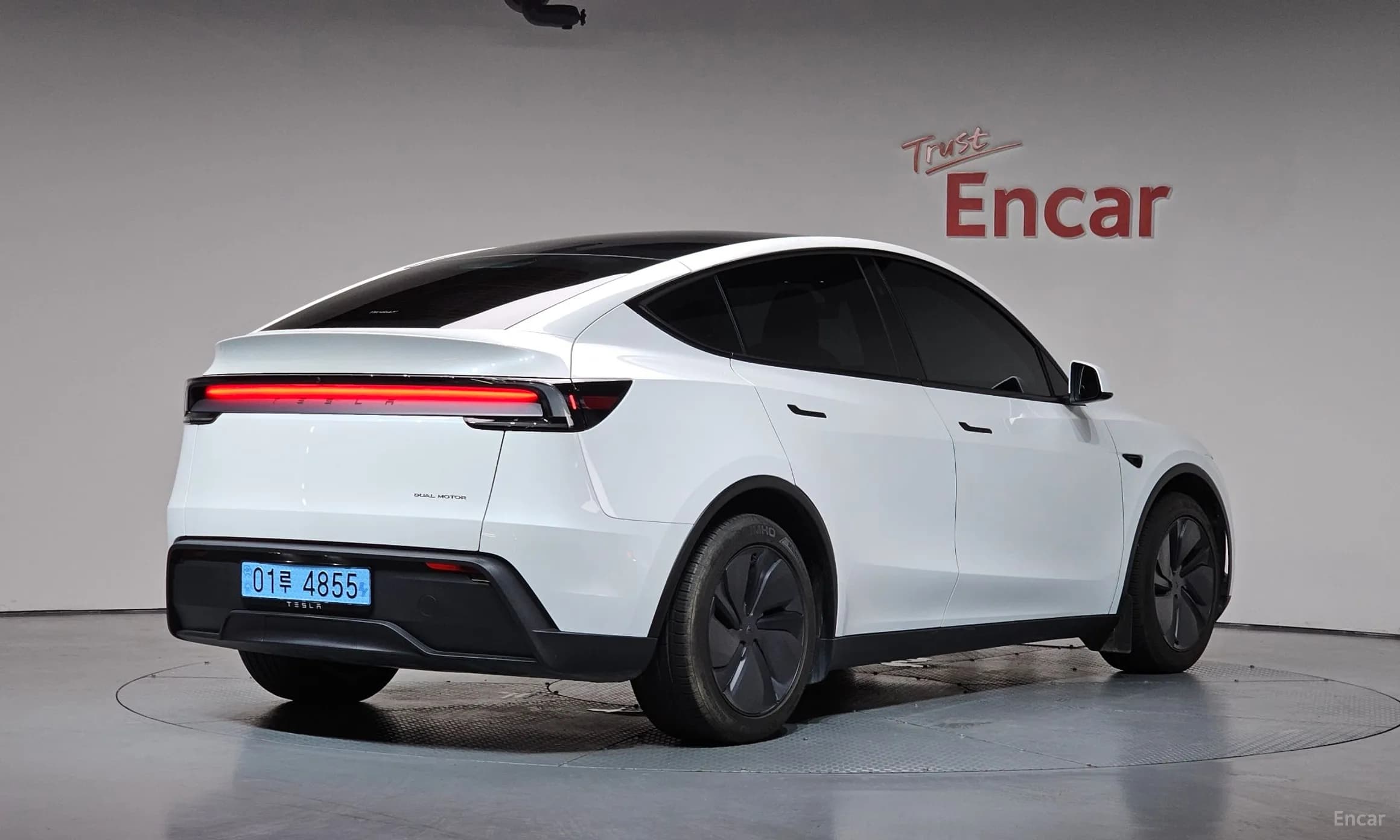 Model Y