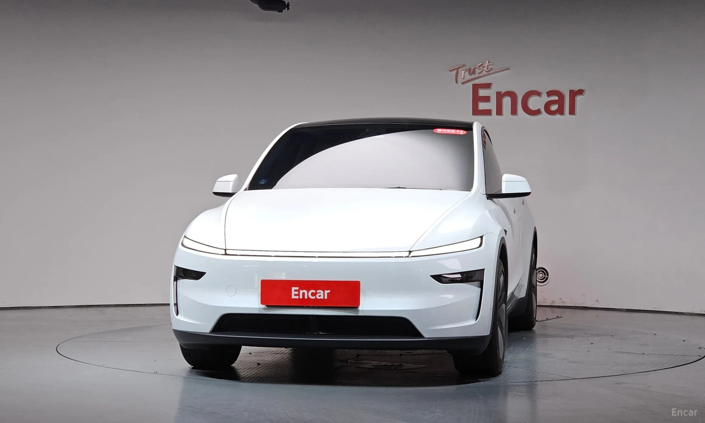 Model Y