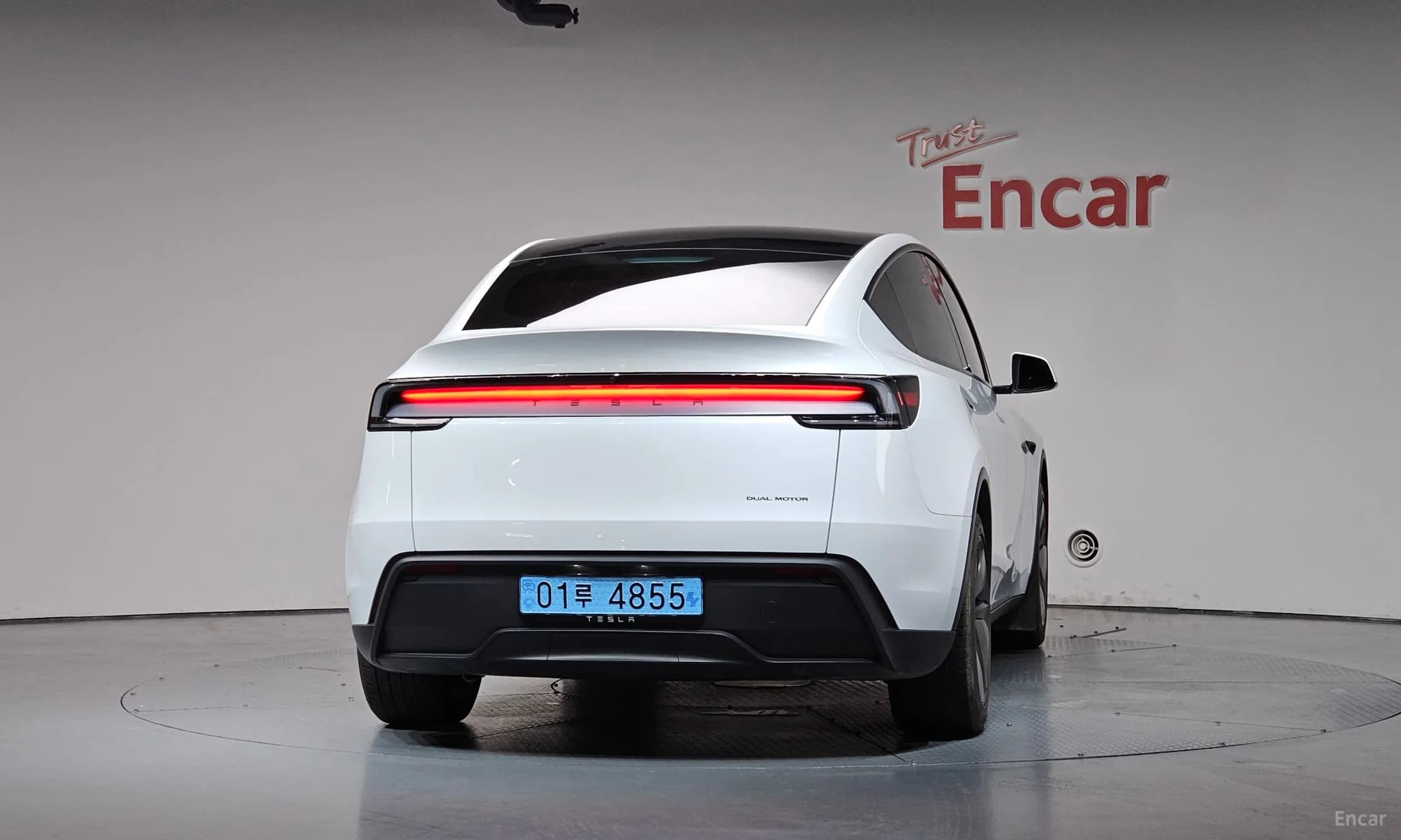 Model Y