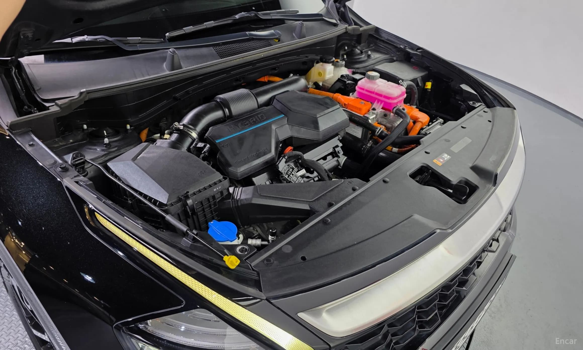 Sportage 5th Generation Hybrid