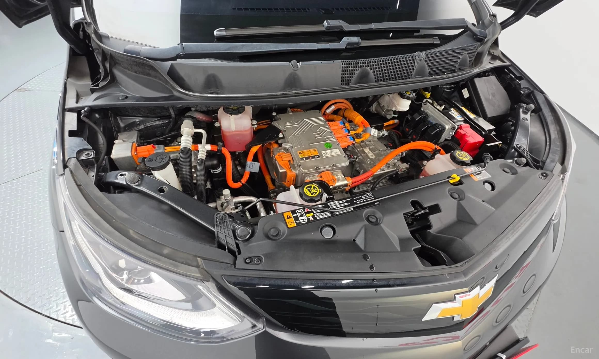Bolt EV