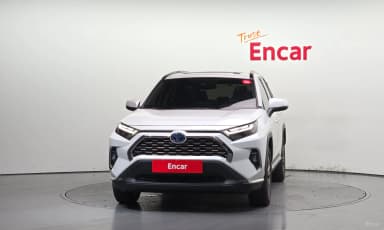 RAV4 5th Generation