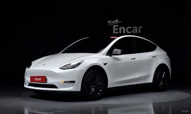 Model Y