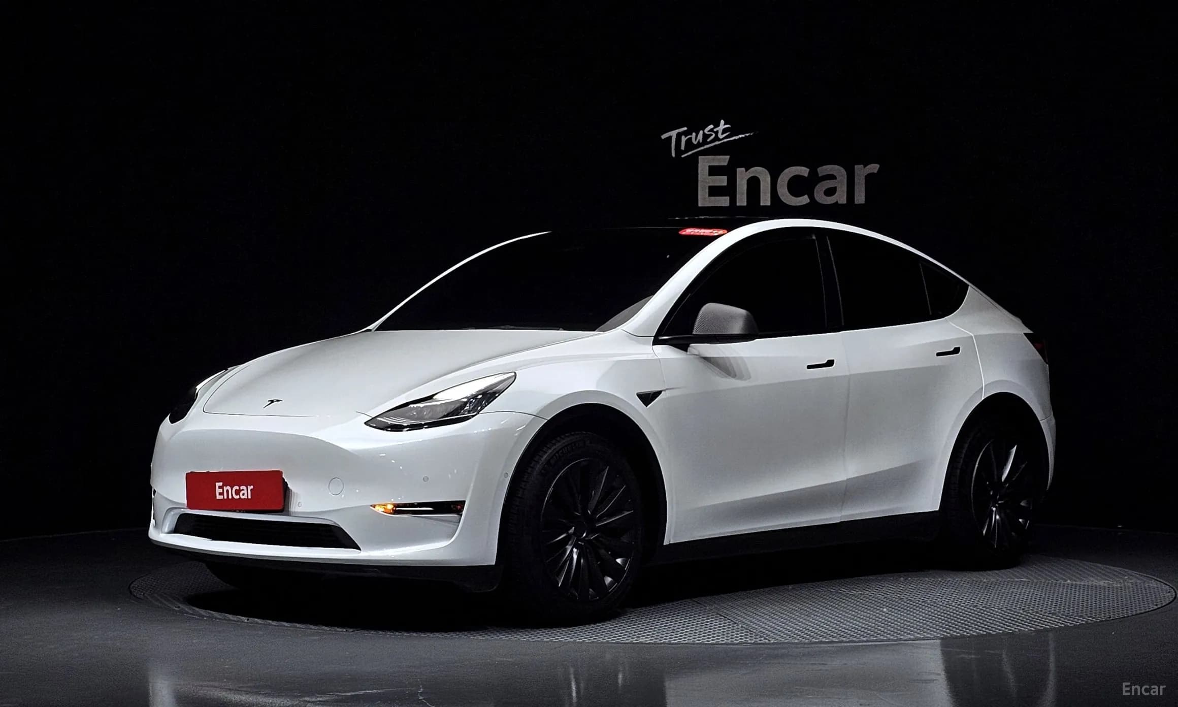 Model Y