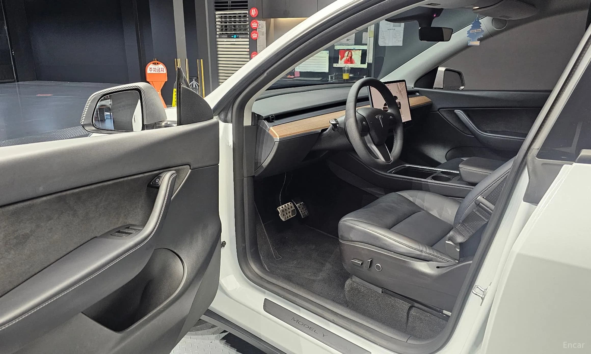 Model Y