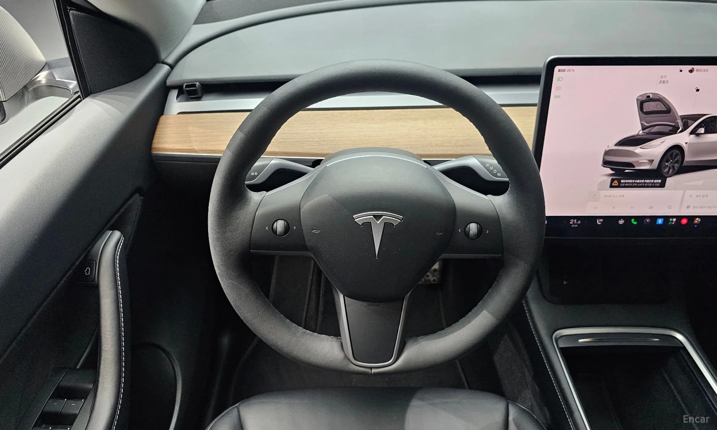 Model Y