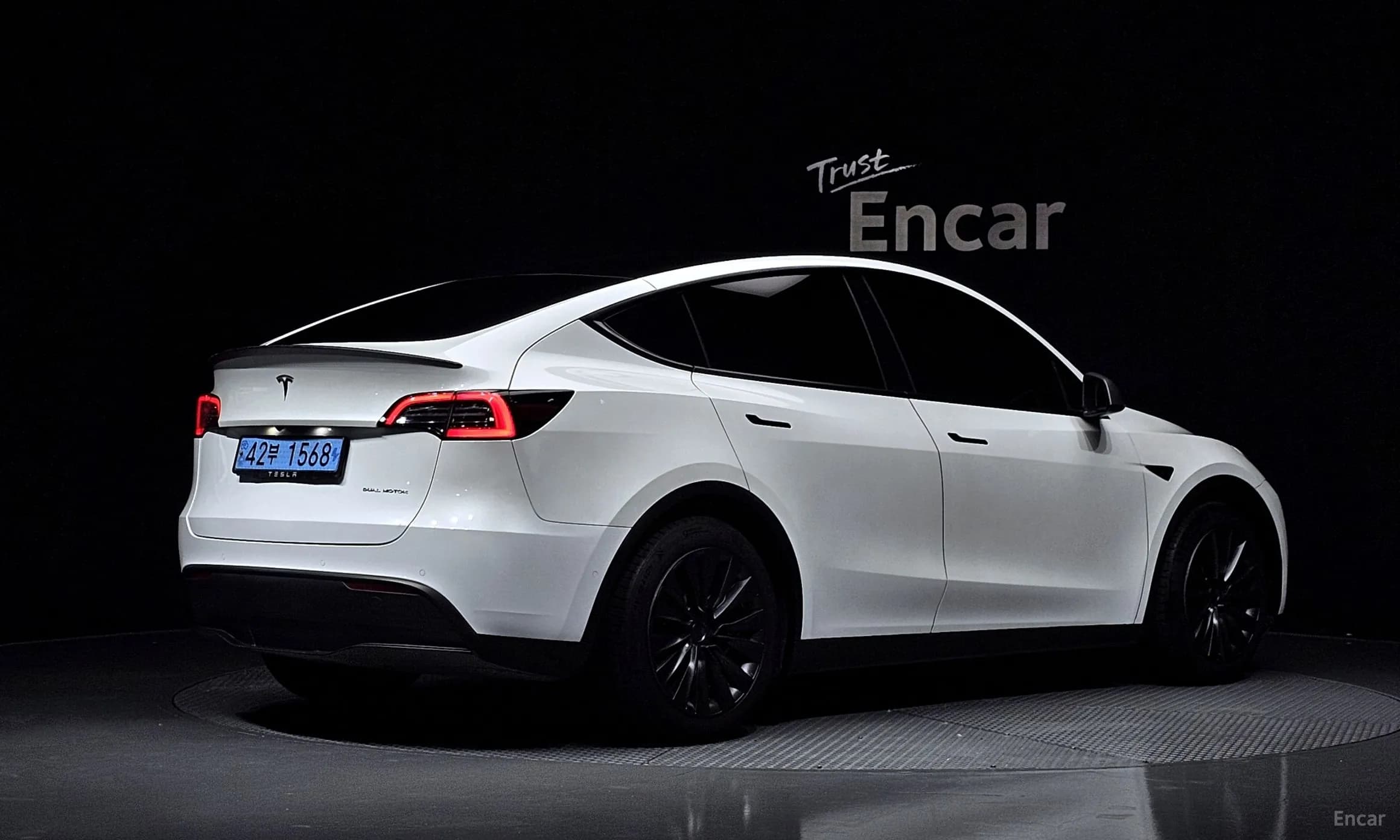 Model Y