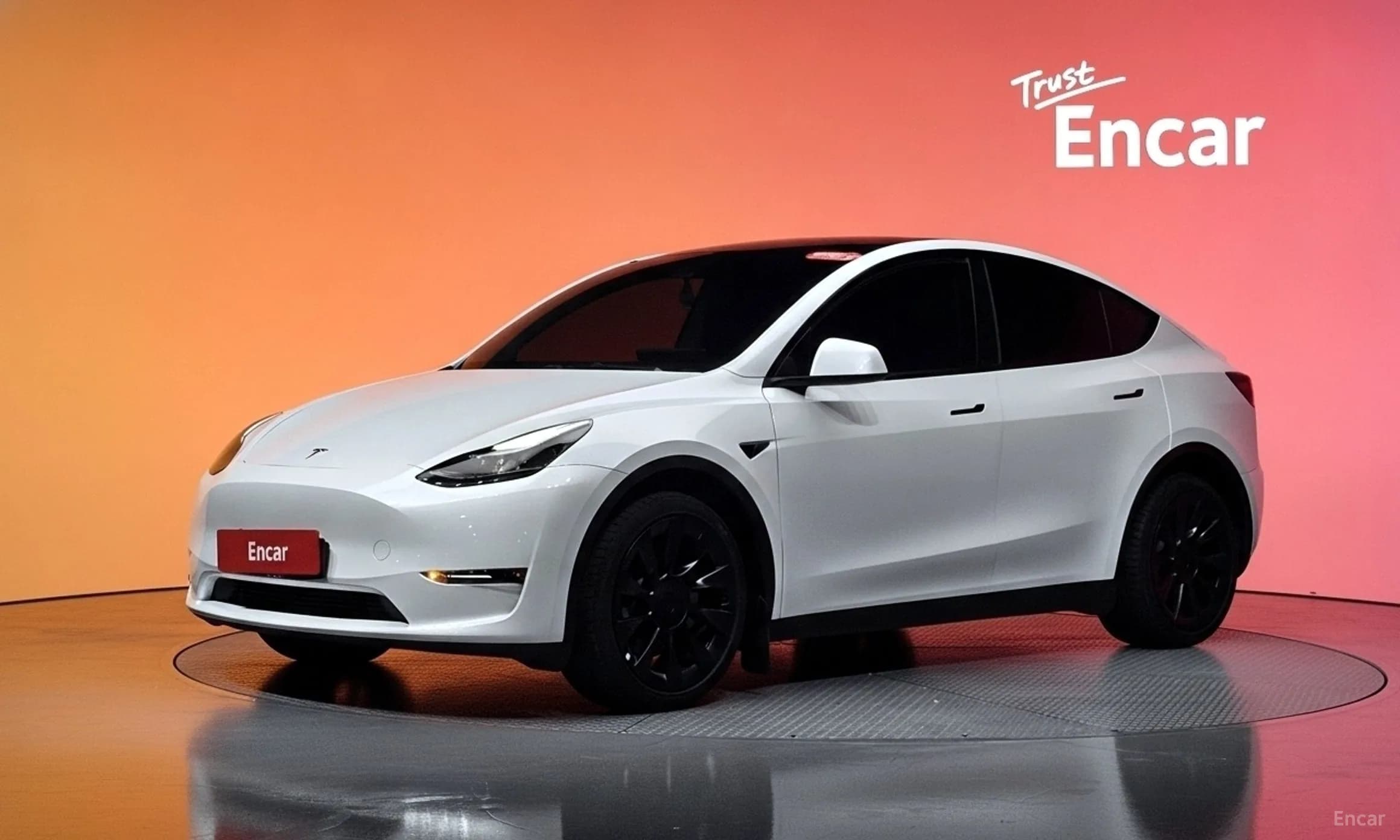 Model Y
