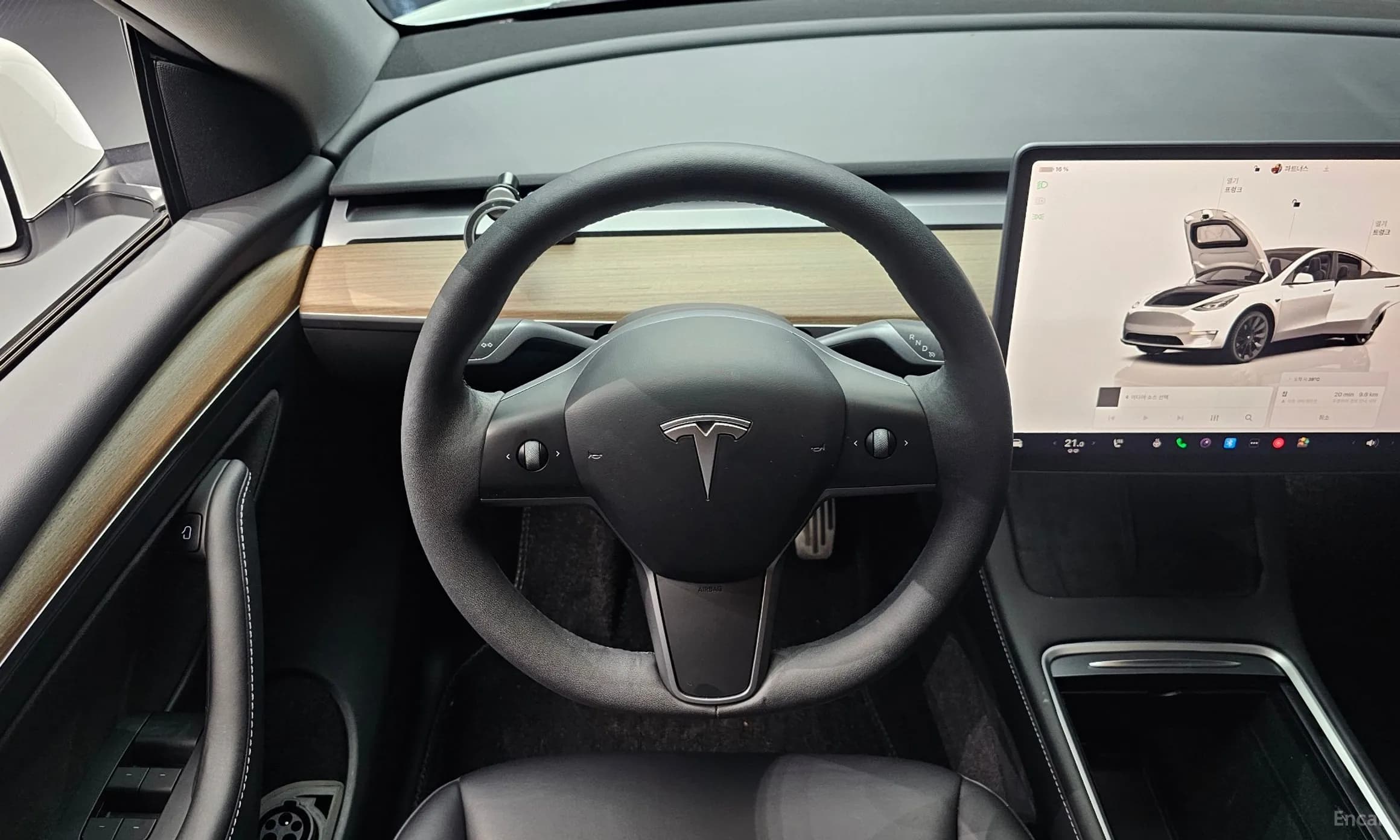 Model Y
