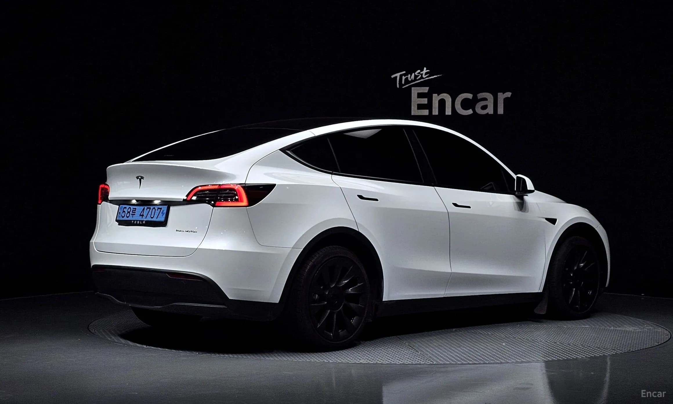Model Y