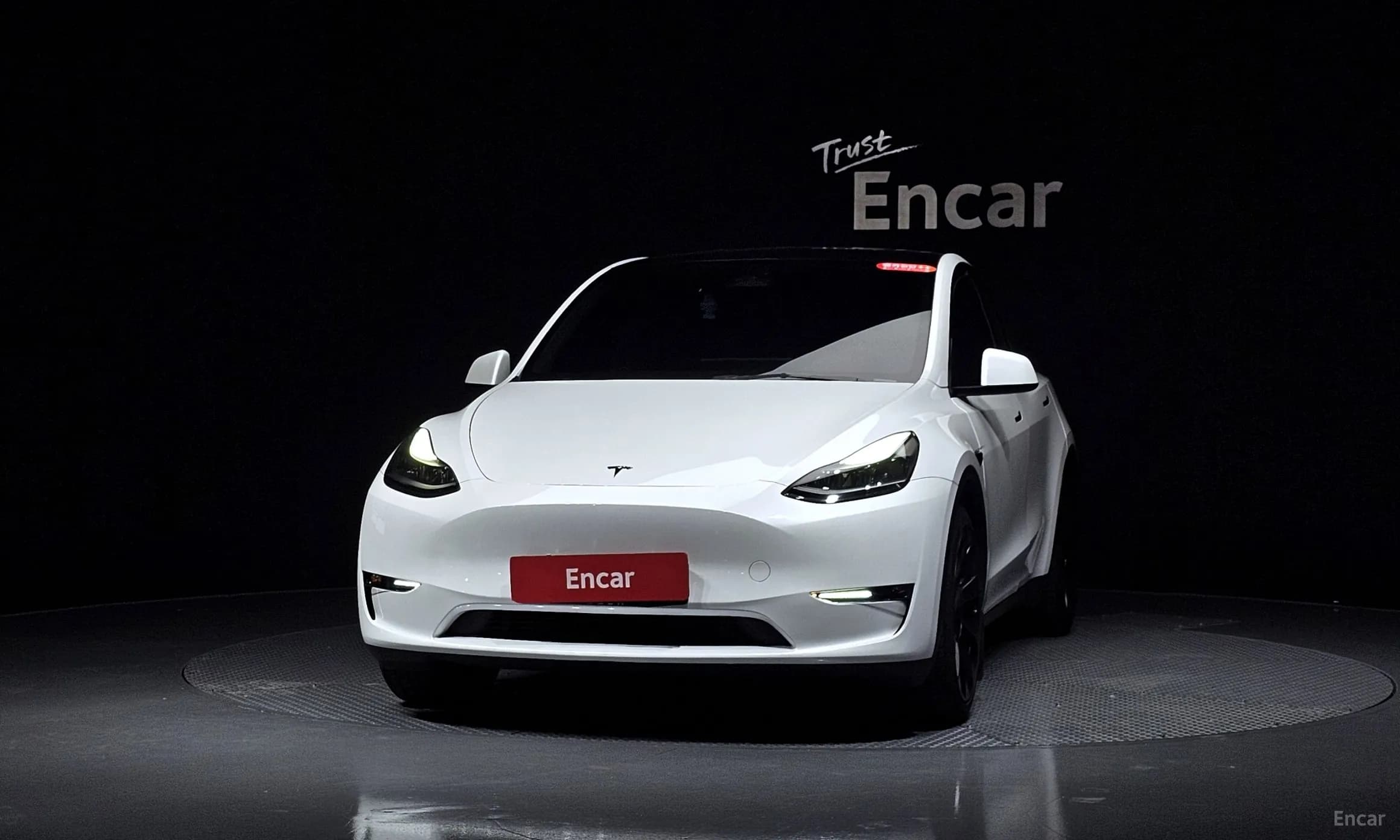 Model Y