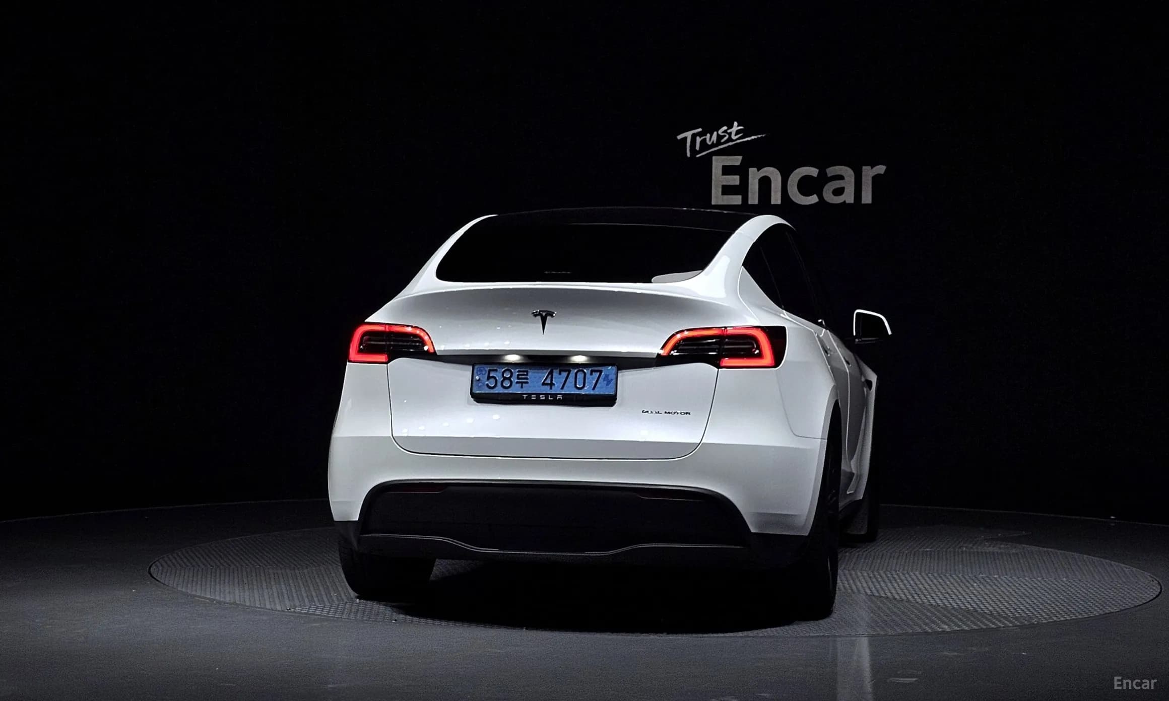 Model Y