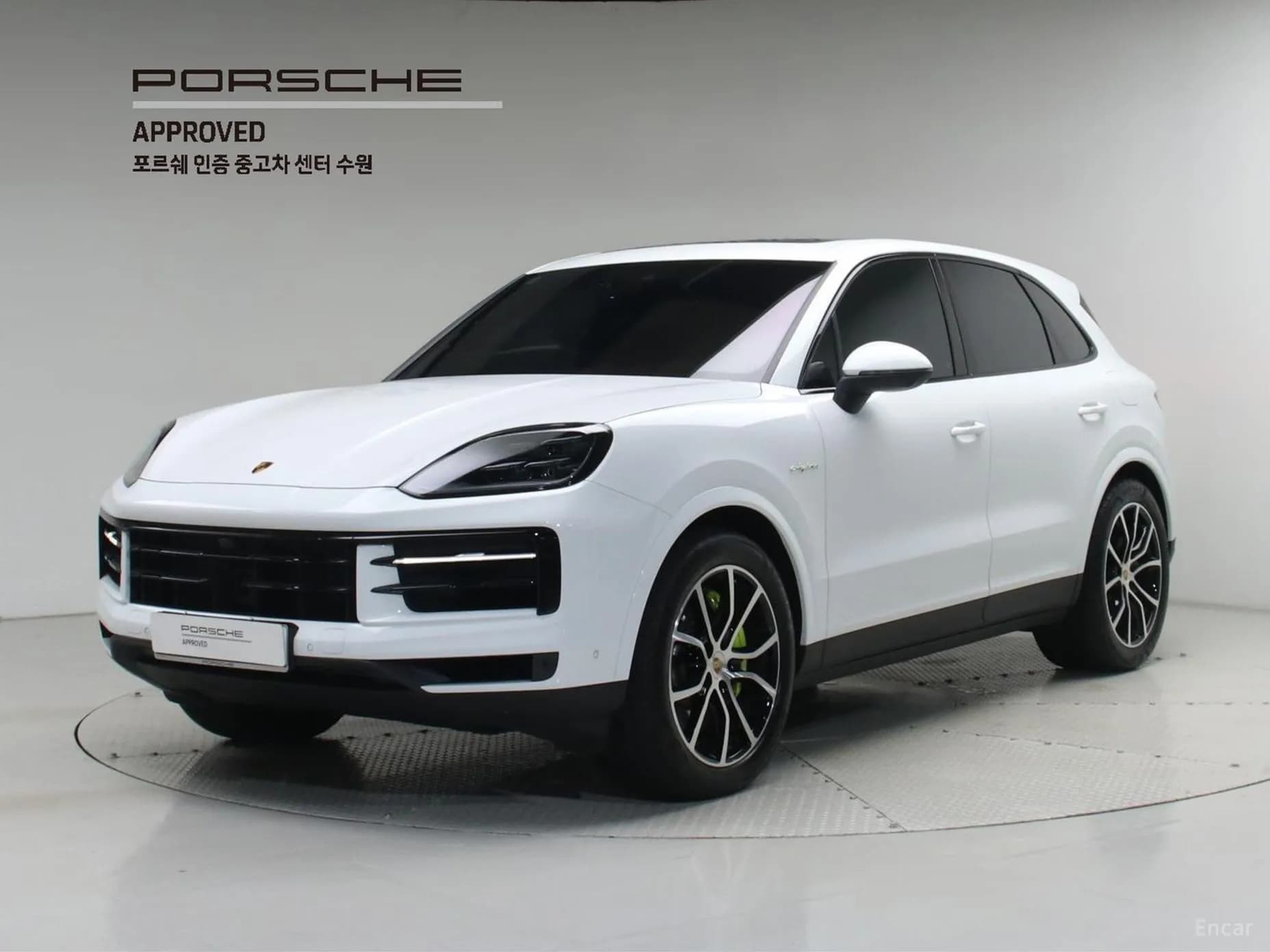 Cayenne (PO536)