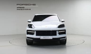 Cayenne (PO536)