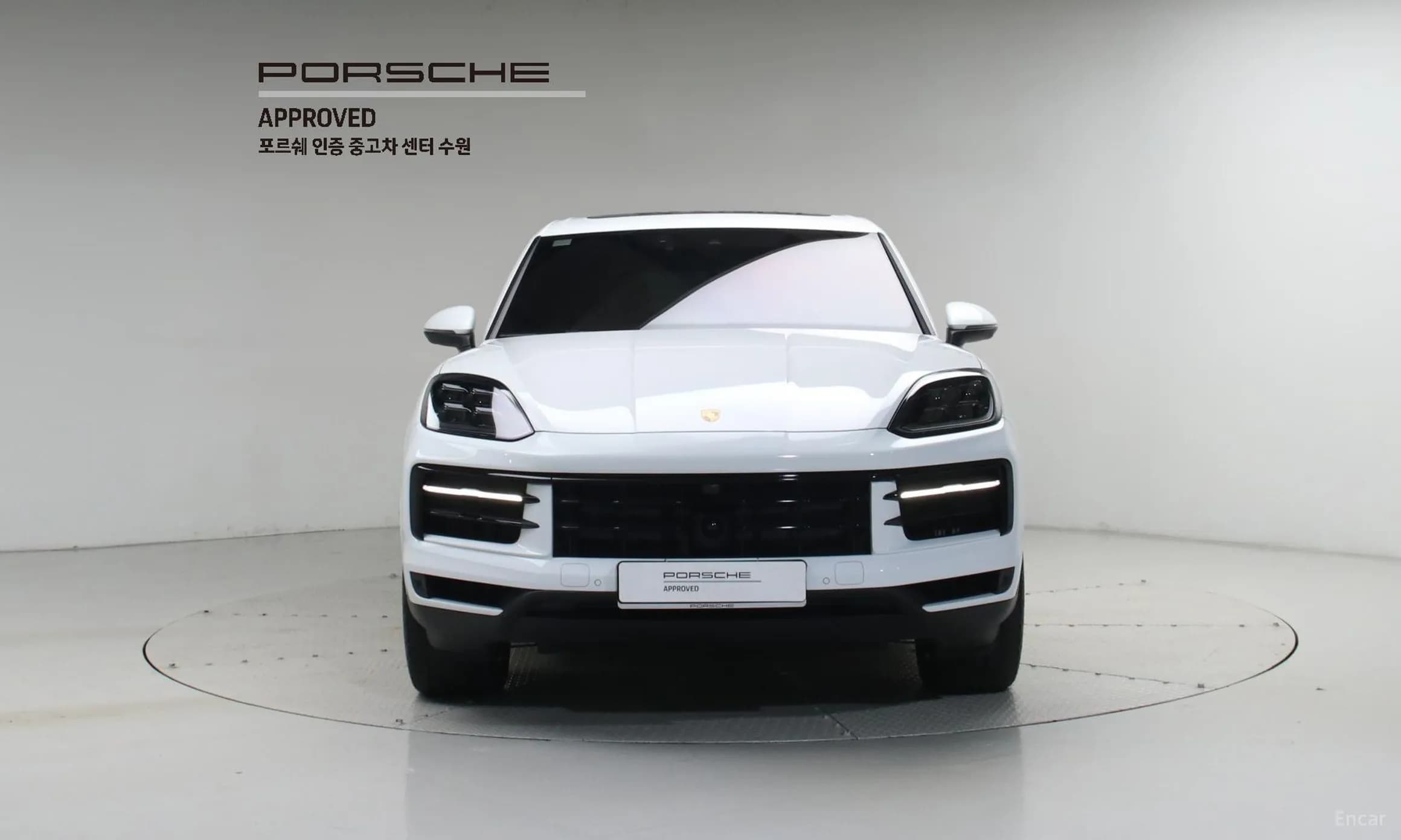 Cayenne (PO536)