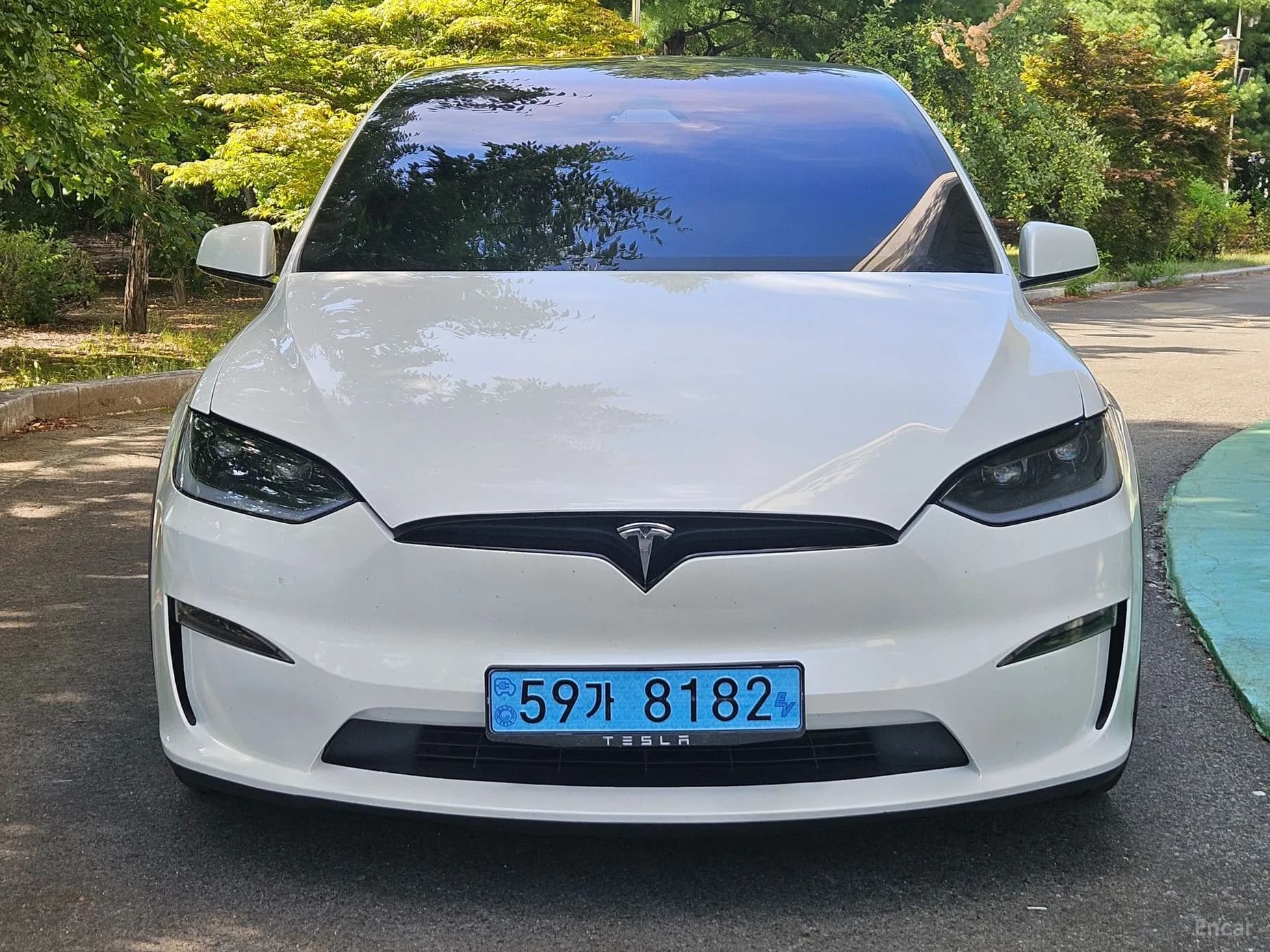 Model X