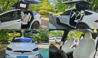Model X