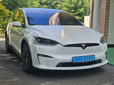 Model X