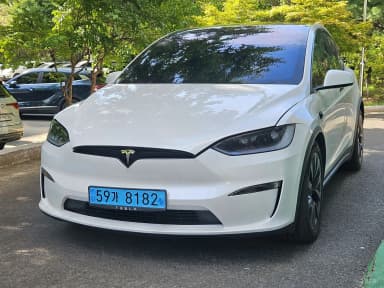 Model X