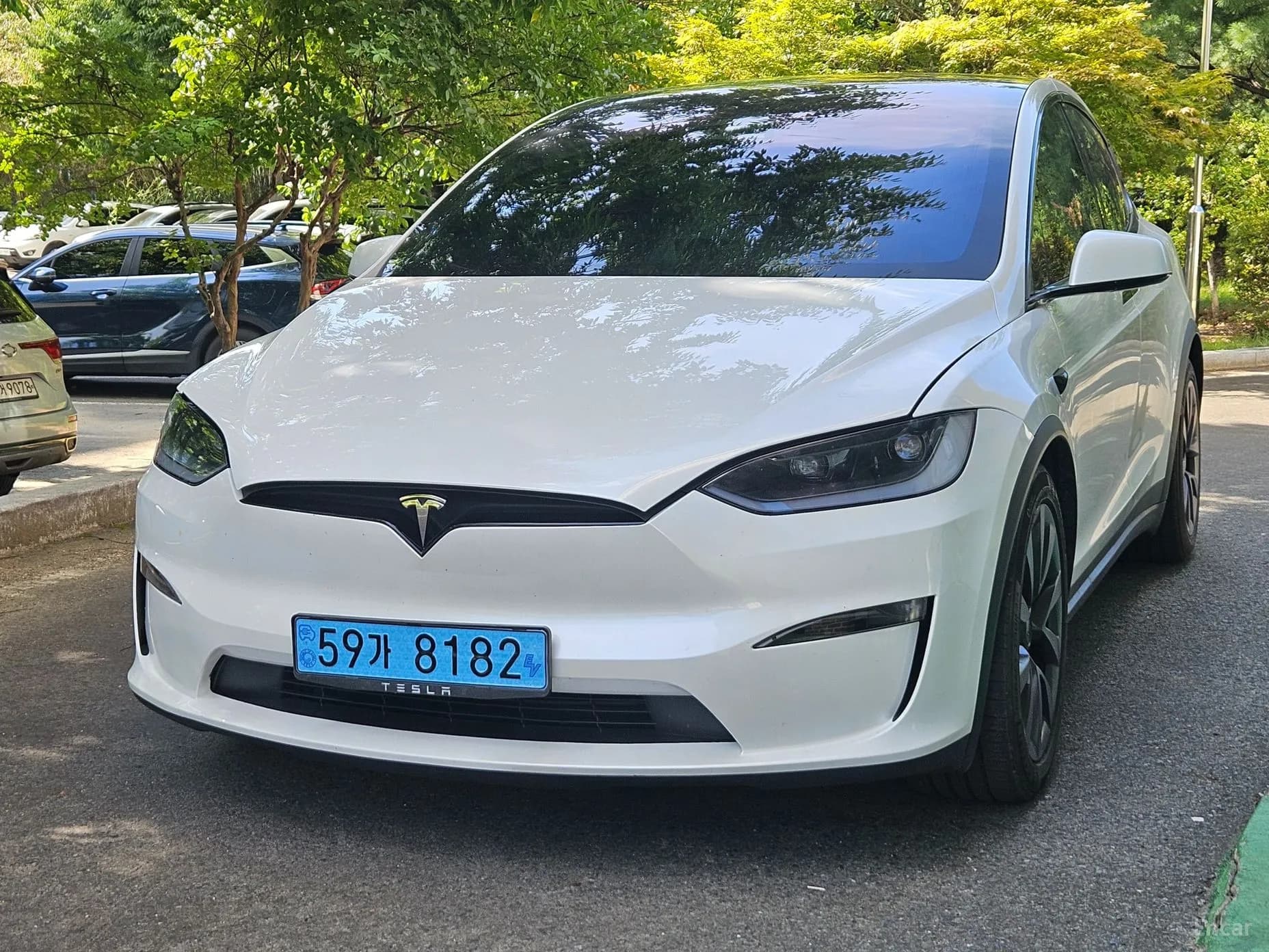 Model X