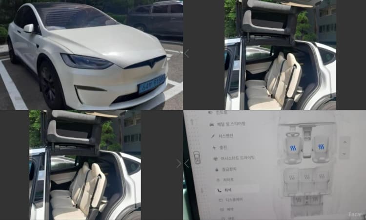 Model X
