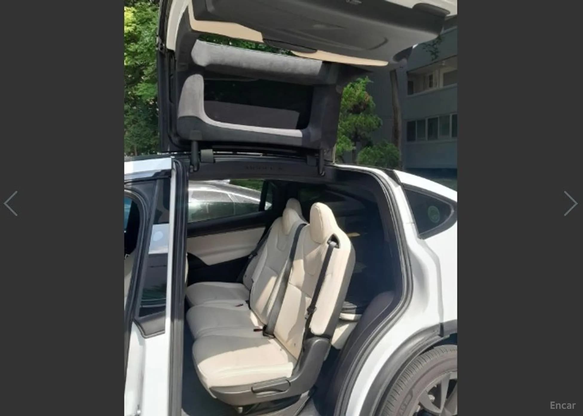 Model X