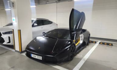 Murcielago