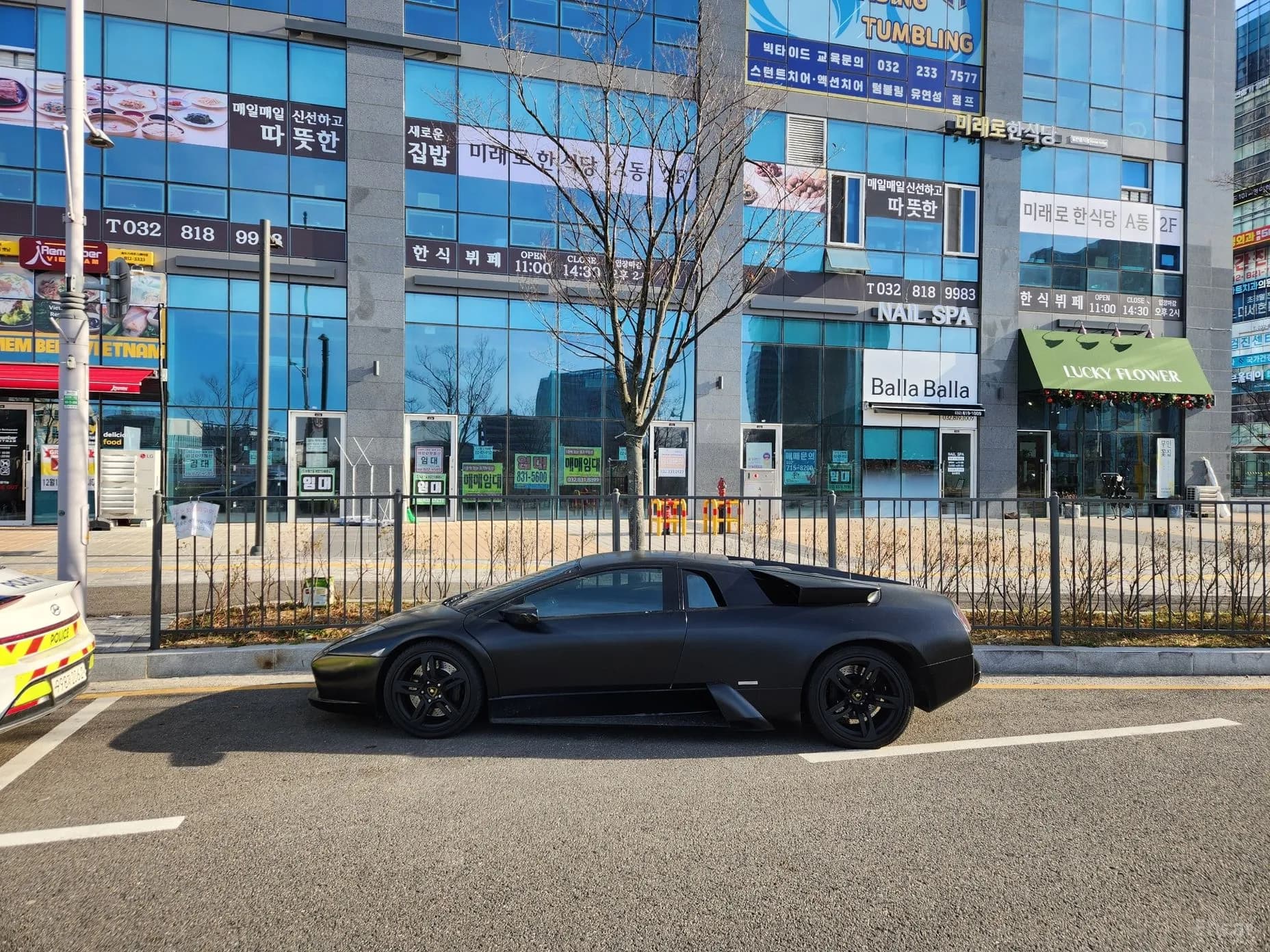 Murcielago