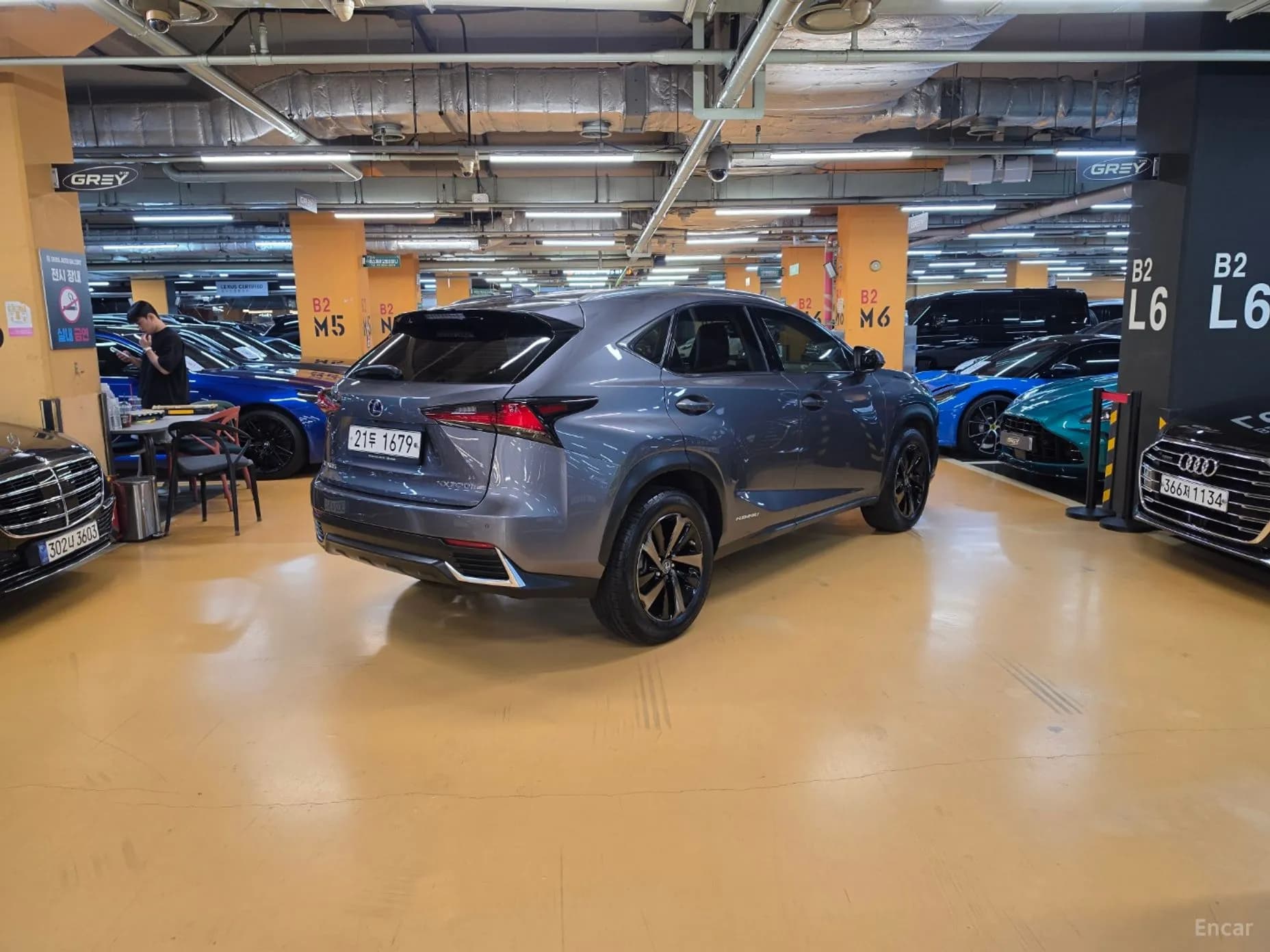 NX300h