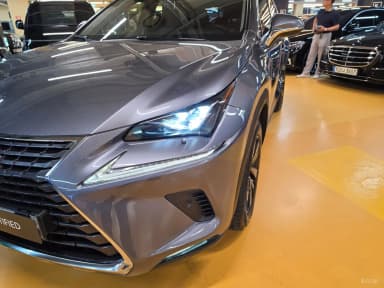 NX300h