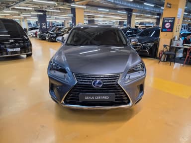 NX300h