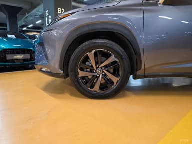 NX300h
