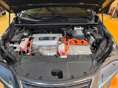 NX300h