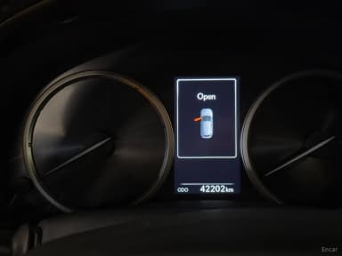 NX300h