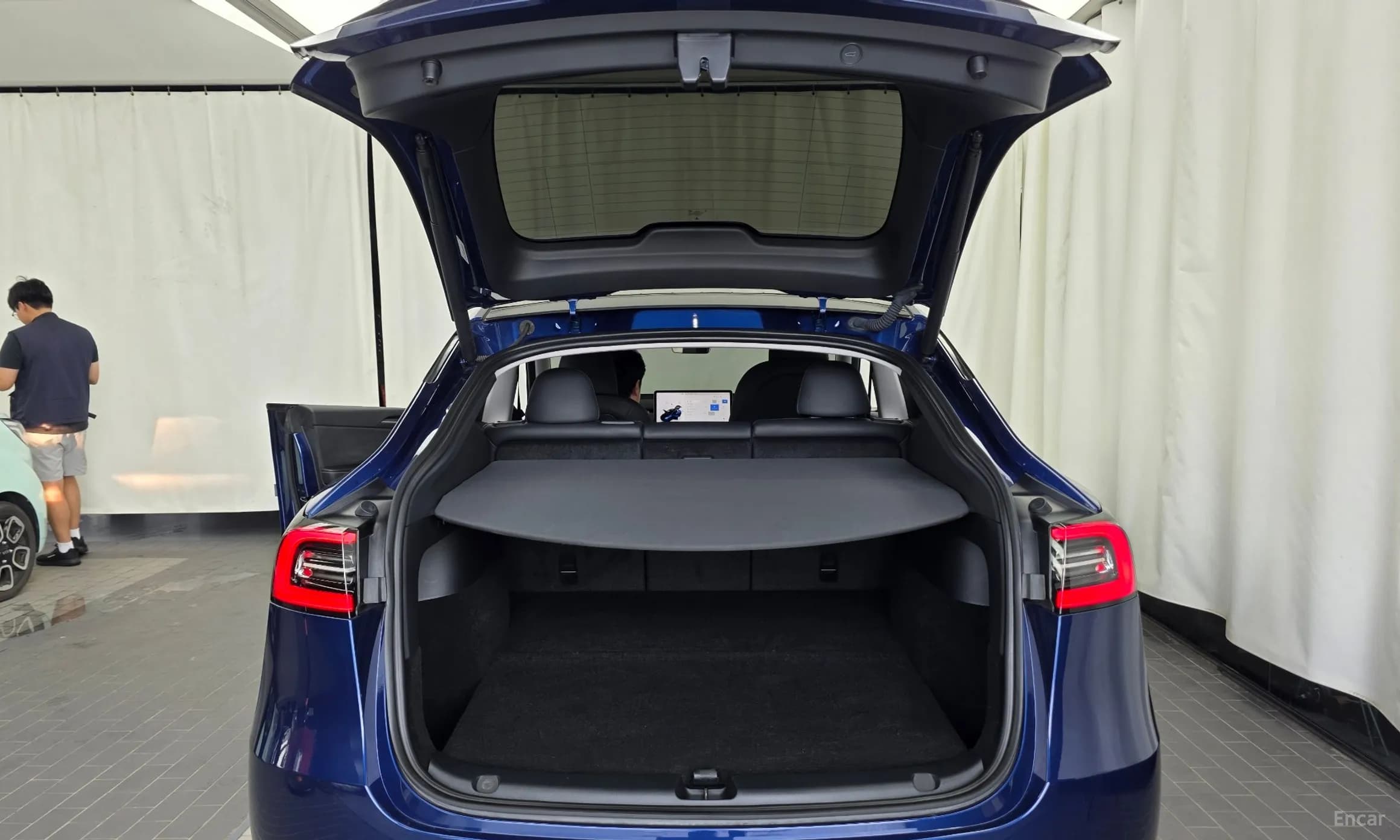 Model Y